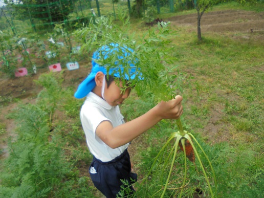 6月7日（木曜日）の画像１