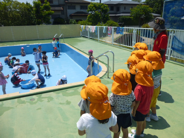 3歳児みかん組　プール掃除を見学しました