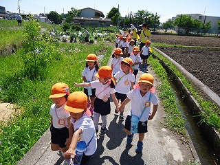 道中