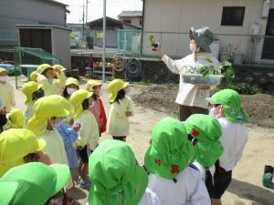 野菜苗の話を聞いています