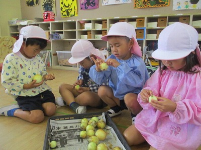 カレーパーティー　(6月6日(水曜日)の画像3