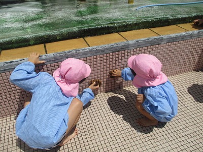 プールそうじ　(6月13日(水曜日)の画像2