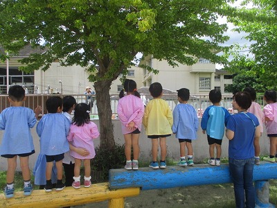 プールそうじ　(6月13日(水曜日)の画像3