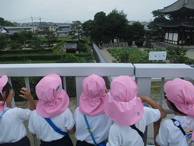 園外保育喜光寺　6月22日（金曜日）の画像2