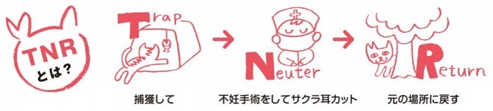 TNR活動とは