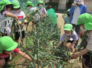 頑張って抜くぞ