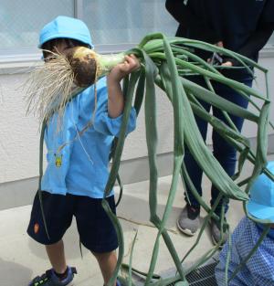 玉ねぎを持っている子ども