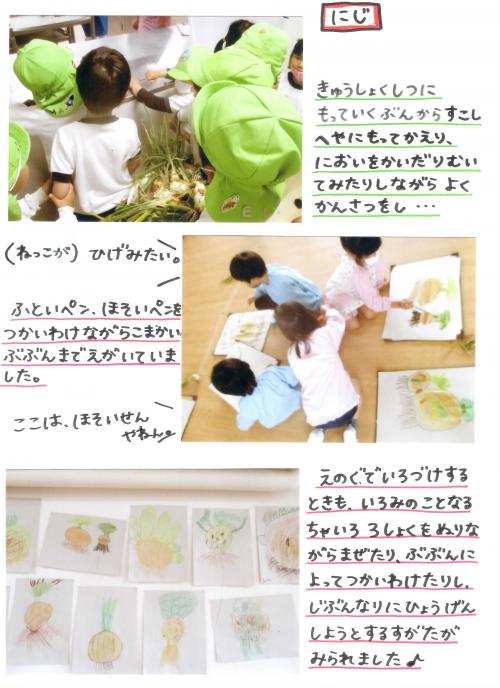 玉ねぎの収穫の絵をかいたよ にじ組