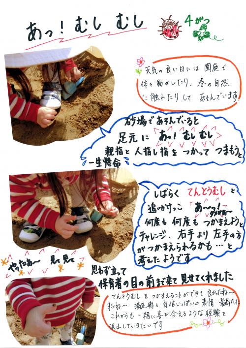 てんとうむし みつけた
