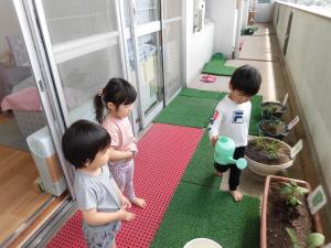 お水やりをしています。