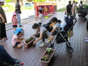 親子で花を植える