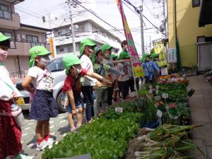 夏野菜の苗を買ったよ