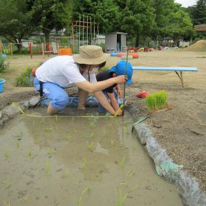 田んぼをつくったよ