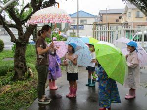 雨の日散歩