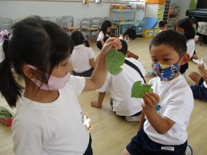 桑の葉を食べているよ