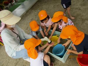 3歳6月外3