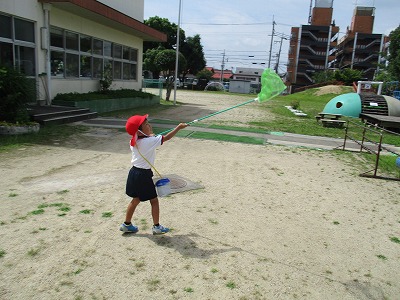 7月12日の画像2