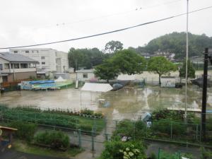 雨の園庭