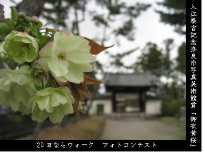 入江泰吉記念奈良市写真美術館賞作品の写真