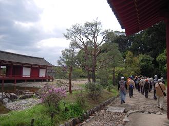 「20日ならウォーク」（東院庭園）