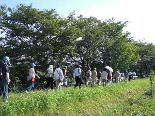 秋篠川沿いの画像