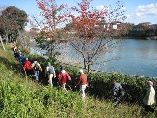 住宅街内の小道を歩く参加者の画像