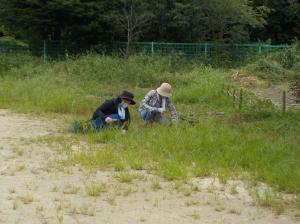 地域の方