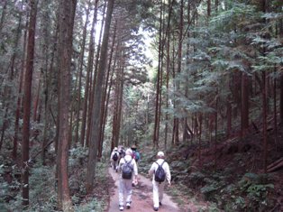 写真「山道」