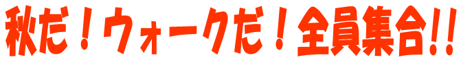 秋だ！ウォークだ！全員集合！！