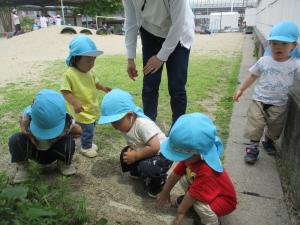 1歳児　虫探し