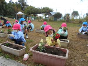 花苗植え