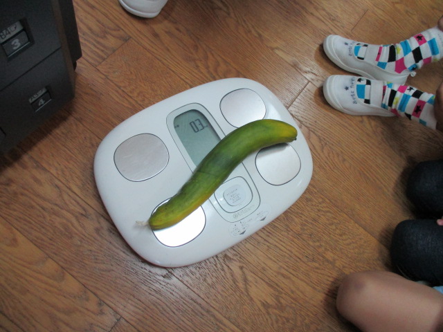 体重計できゅうりの重さを量る