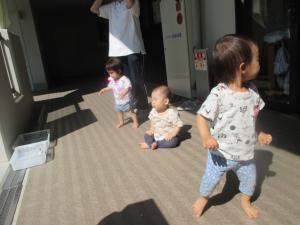 園庭で踊っているのを廊下から見ています。