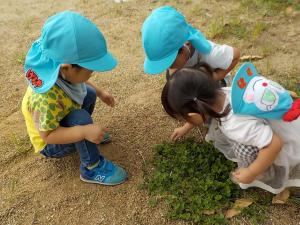 3人で虫を探しています。