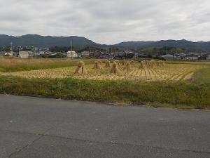 わらのいえ
