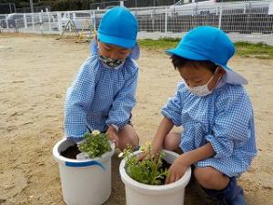 花を植えたよ