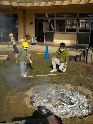 いも投入4歳