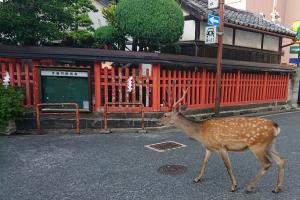 鹿とならまち（今御門町）