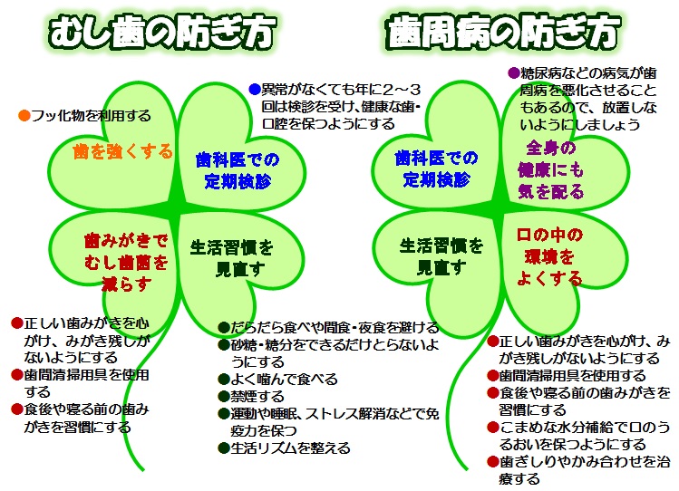 むし歯歯周病の防ぎ方