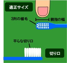 歯ブラシ選び方