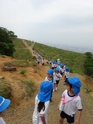 5歳児　若草山にのぼろうの画像3