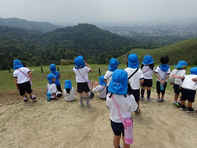 5歳児　若草山にのぼろうの画像4