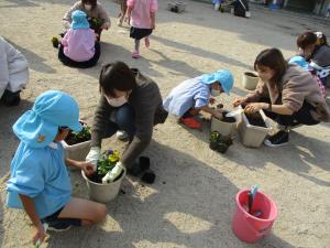 花植え