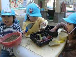 1歳児　自然物を使って遊んでいます