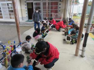 4歳児　防災クラブの方々と花の苗植えをしています。