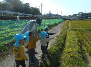 散歩で「みぃつけた」