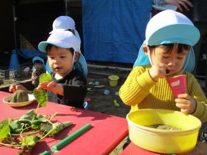 「お芋のご飯はいかがですか？」