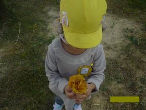 イチョウの葉っぱの花束できたよ