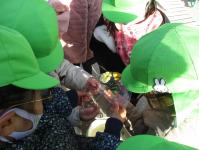 氷5