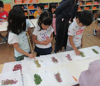 押し花体験（5歳児）の画像2